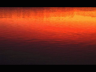 bloodwater